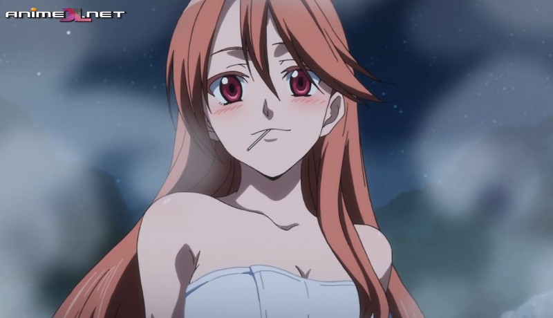 Akame ga Kill! Español Latino online