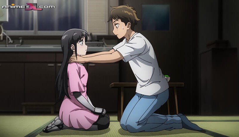 Boku no Tsuma wa Kanjou ga Nai completo
