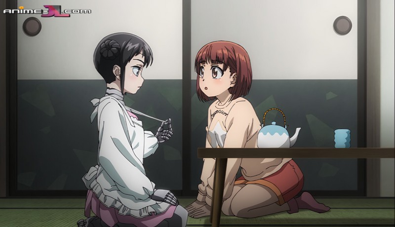 ver Boku no Tsuma wa Kanjou ga Nai