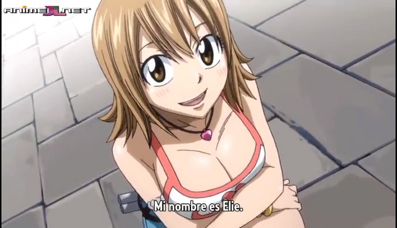 ver Fairy Tail Ovas