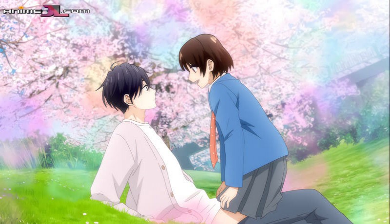 ver Hananoi-kun to Koi no Yamai Español Latino
