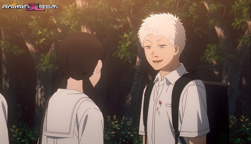 Hikaru ga Shinda Natsu Castellano en latino