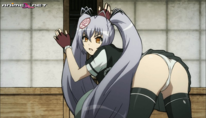 Hyakka Ryouran: Samurai Girls Bride (Sin Censura) Español Latino en latino
