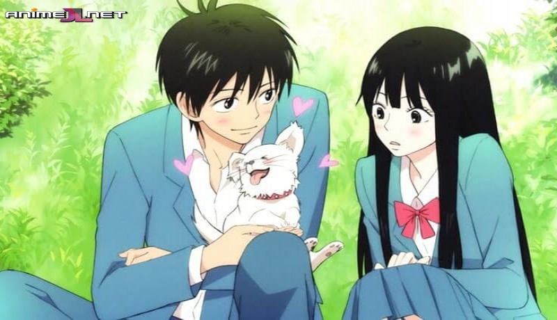 Kimi ni Todoke Español Latino completo