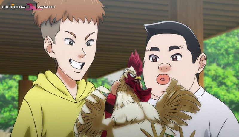 ver Niwatori Fighter
