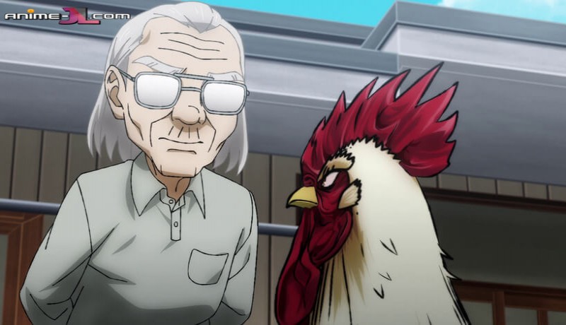 Niwatori Fighter en hd