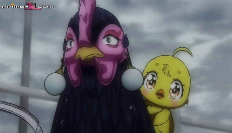 Niwatori Fighter Latino completo
