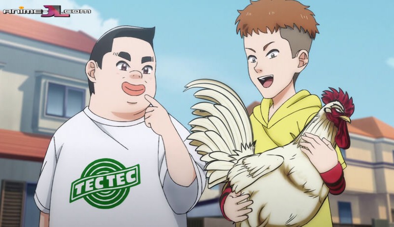 ver Niwatori Fighter Latino