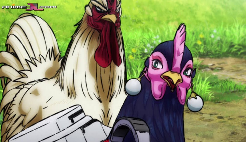 Niwatori Fighter Latino online