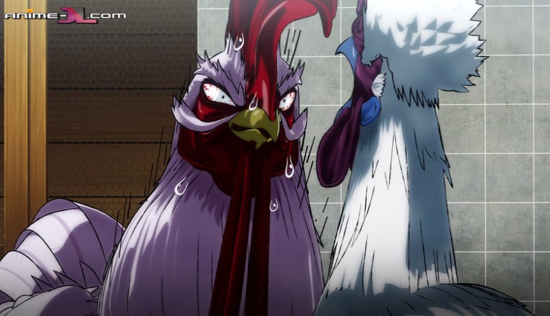 ver Niwatori Fighter Latino