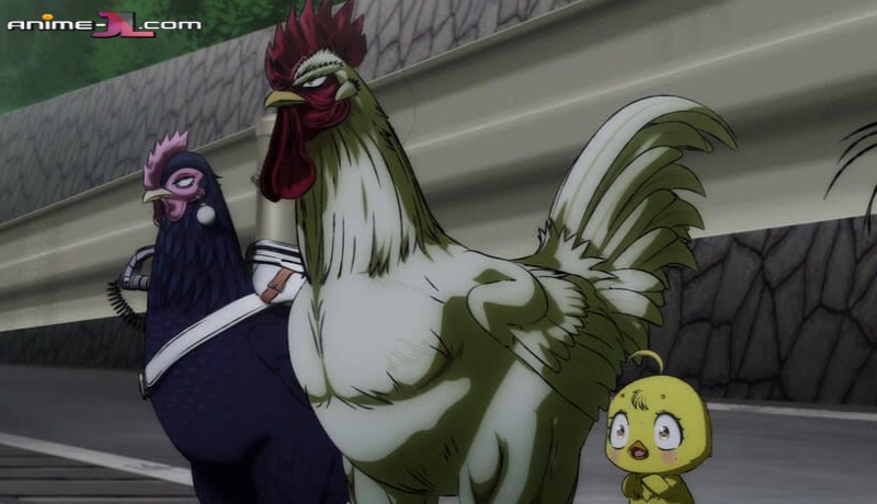 Niwatori Fighter en español
