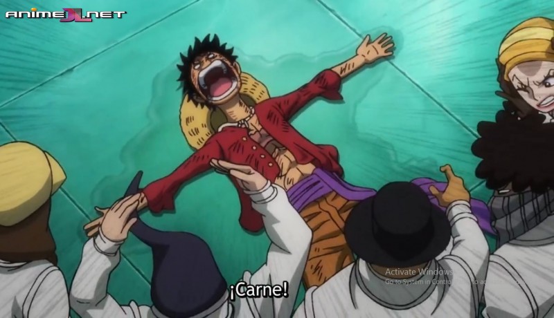 One Piece completo