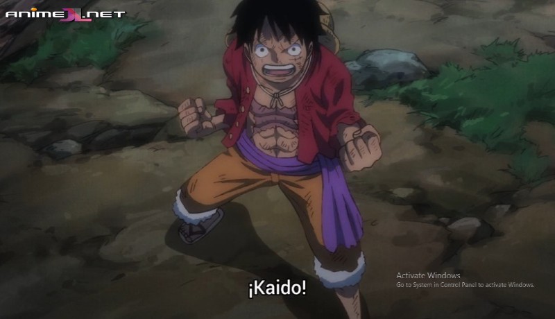 ver One Piece