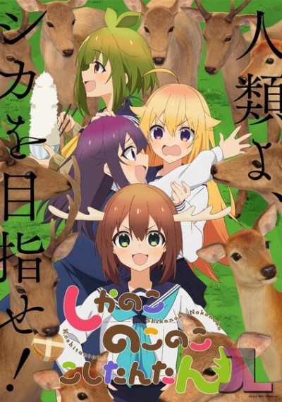 https://www.anime-jl.com/anime/1599/my-deer-friend-nokotan-latino-v2