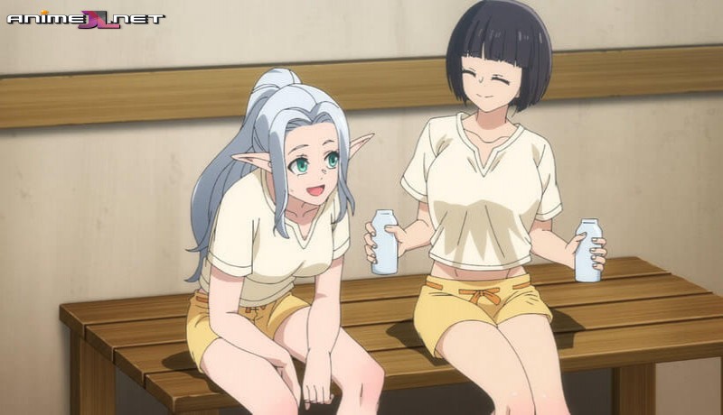 Shin no Nakama ja Nai to Yuusha no Party wo Oidasareta node Temporada 2 Español Latino en latino