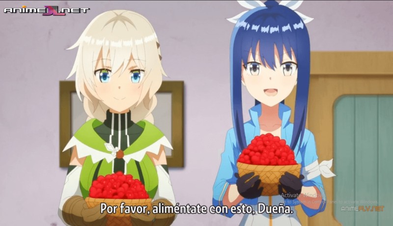 Shinmai Renkinjutsushi no Tenpo Keiei en hd