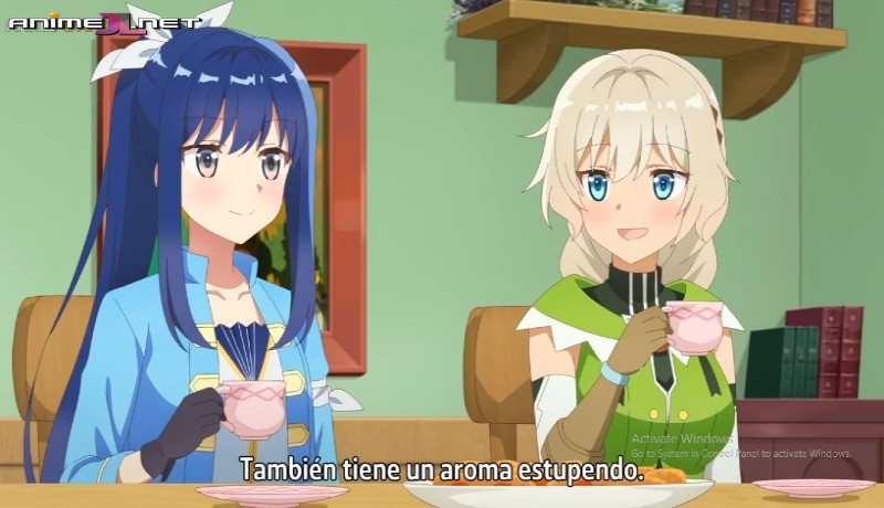 ver Shinmai Renkinjutsushi no Tenpo Keiei