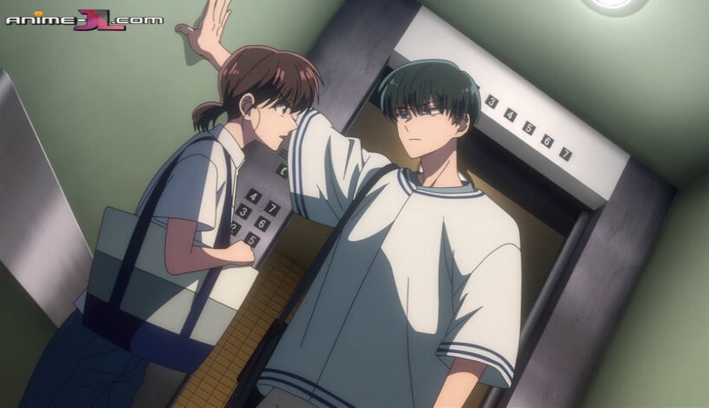Tamon-kun Ima Docchi!? online
