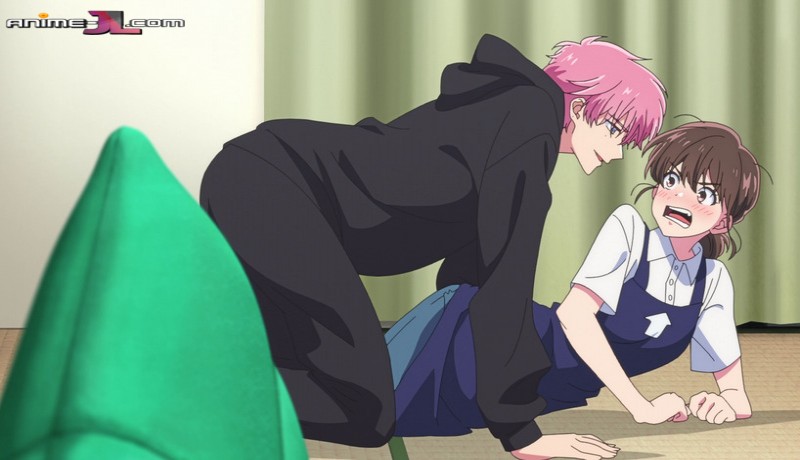 ver Tamon-kun Ima Docchi!?