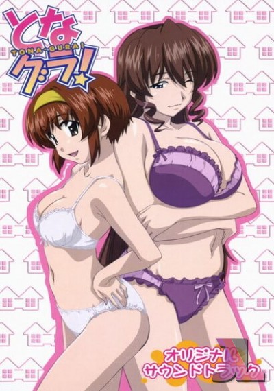 https://www.anime-jl.com/anime/1292/tona-gura-latino-v2