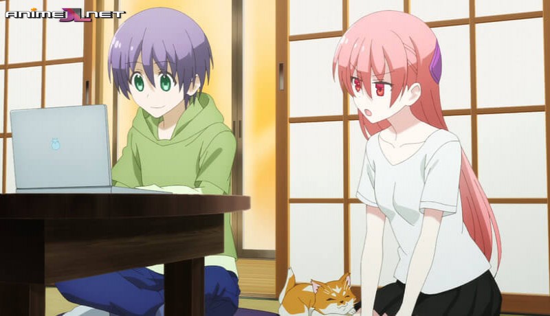 Tonikaku Kawaii Temporada 2 ver gratis