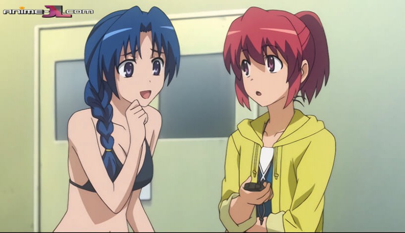 Toradora! Castellano online