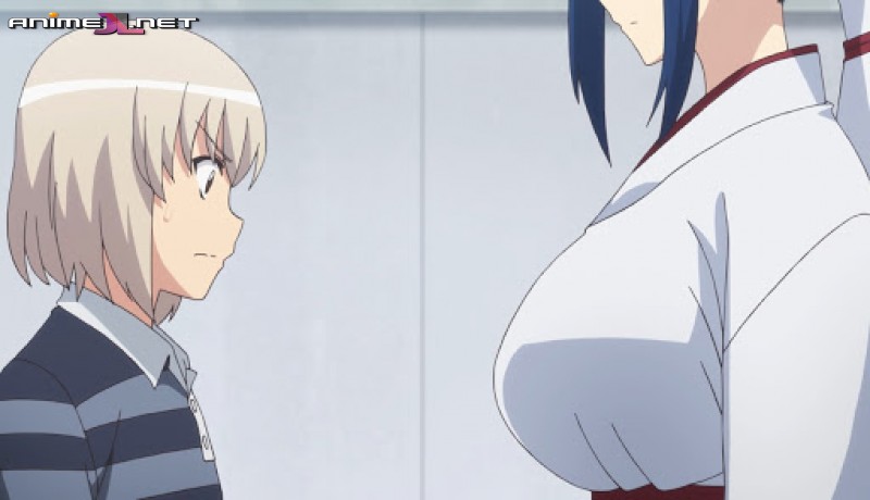 Tsugu Tsugumomo completo