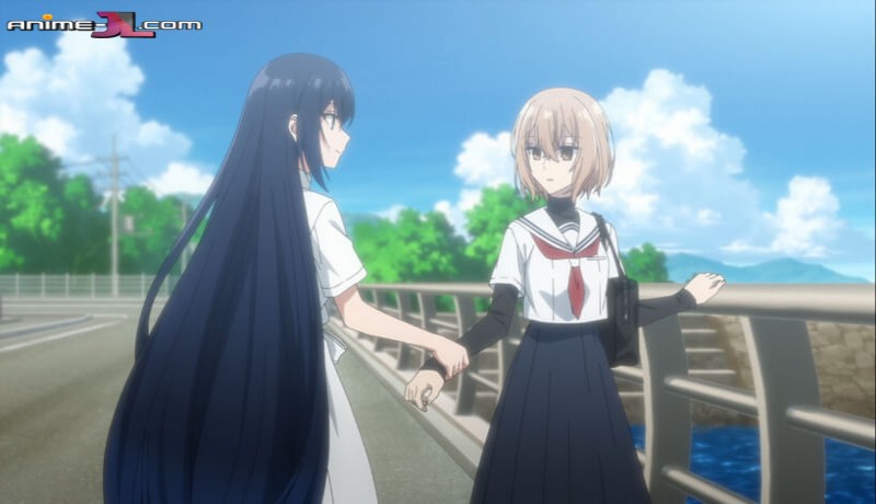 ver Watashi wo Tabetai, Hitodenashi