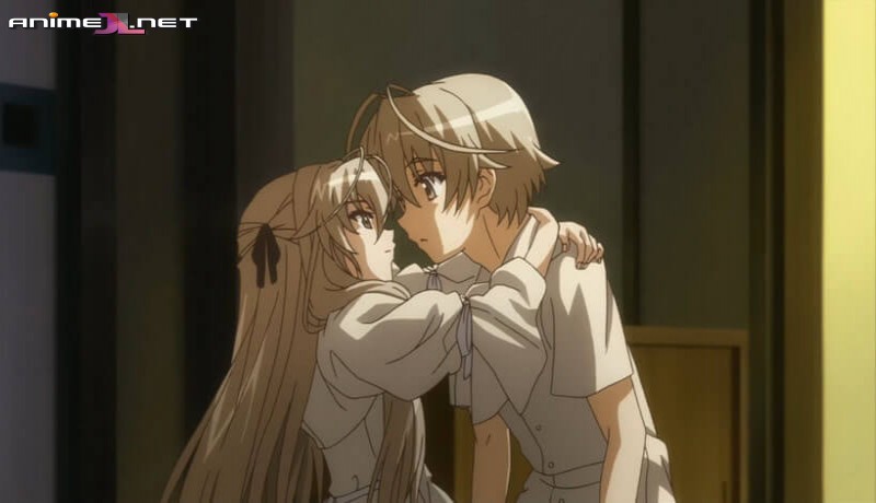 ver Yosuga no Sora (Sin Censura) Español Latino